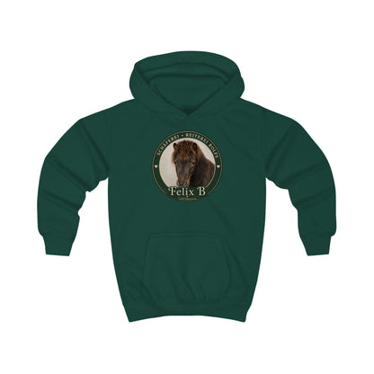Felix B - Hoodie