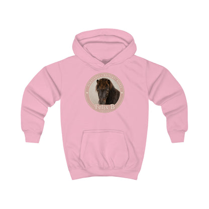 Felix B - Hoodie