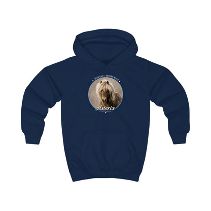Asterix - Hoodie