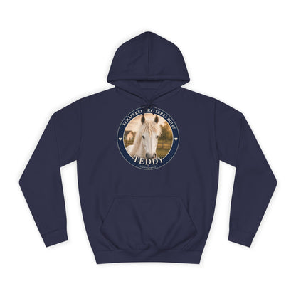 Teddy Hoodie