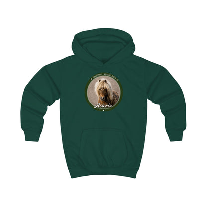 Asterix - Hoodie
