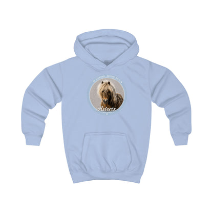 Asterix - Hoodie