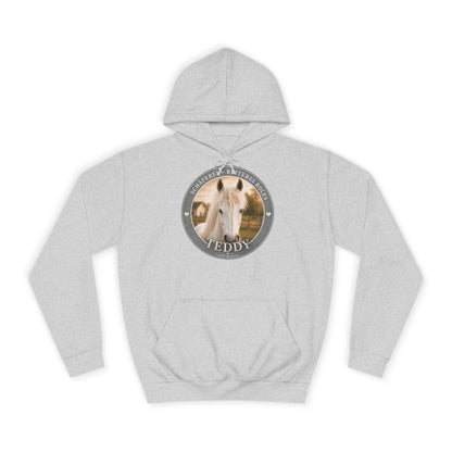 Teddy Hoodie