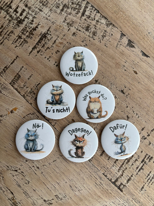 6er Katzen-Magnetbutton-Bundle