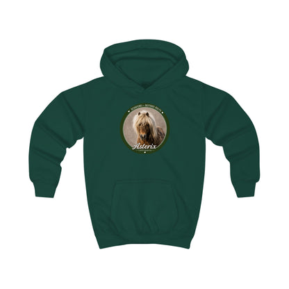 Asterix - Hoodie