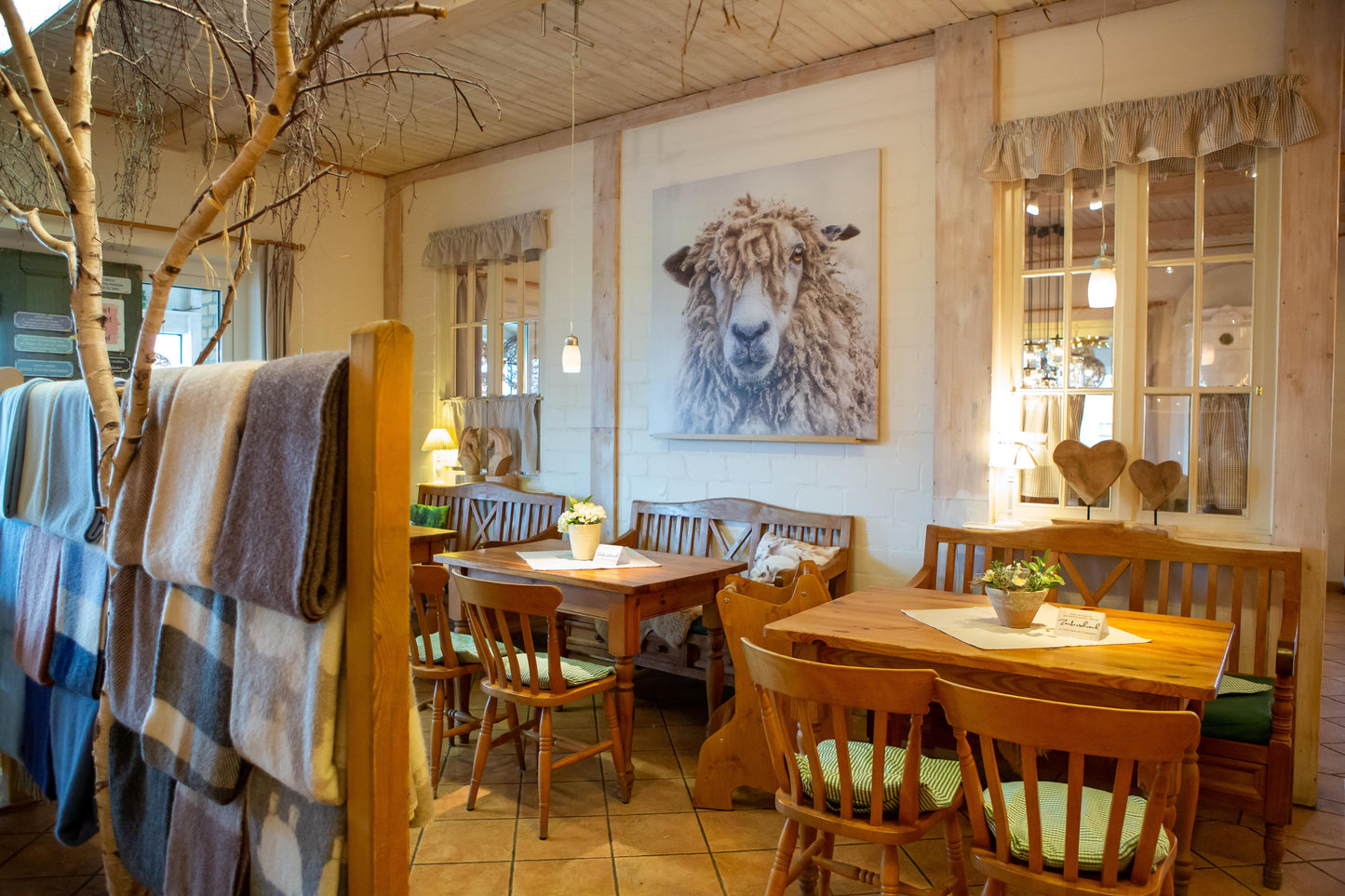 Leinwand mit Zottelschaf