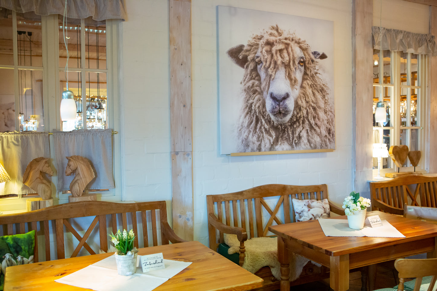 Leinwand mit Zottelschaf