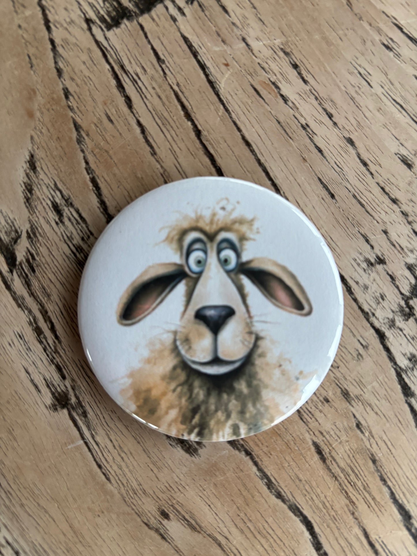 6er Schafmagneten-Bundle