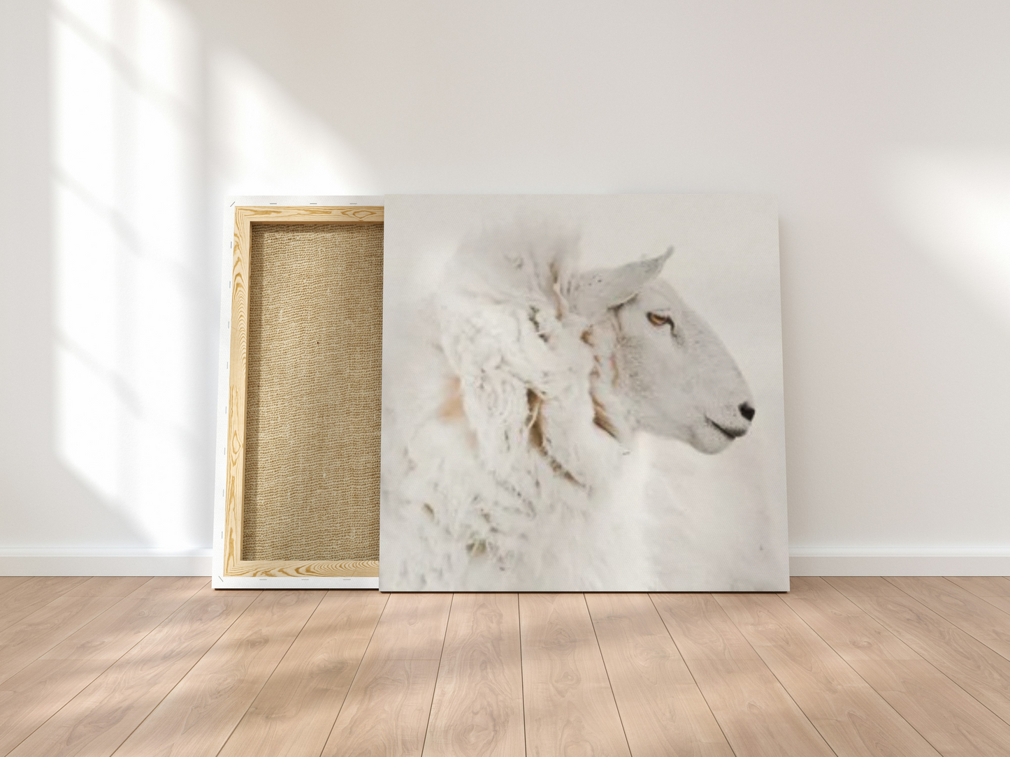 Leinwand-weißes Schaf