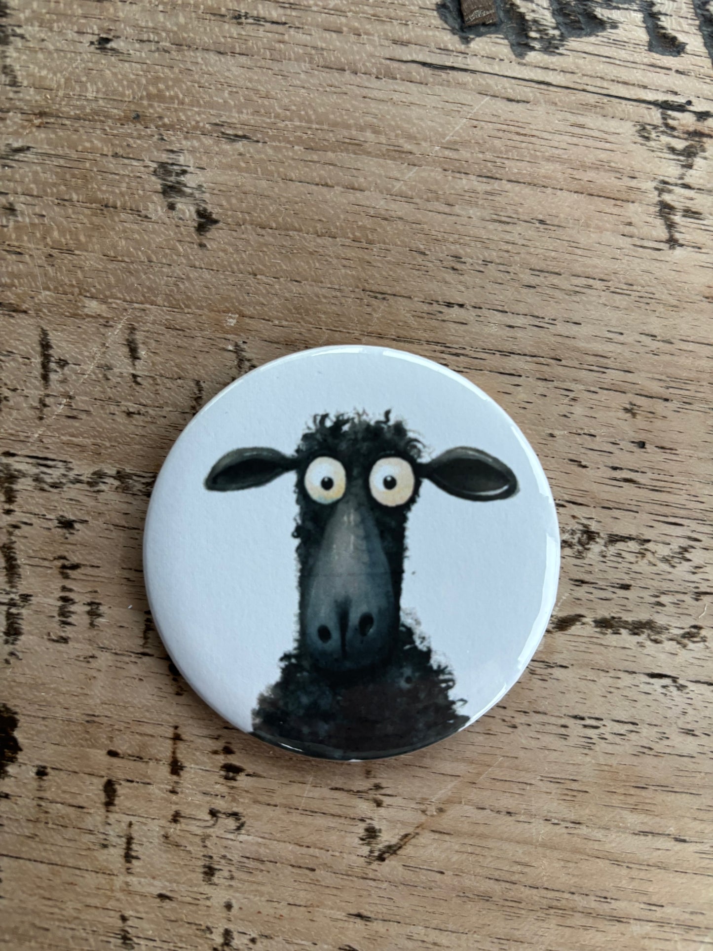 6er Schafmagneten-Bundle