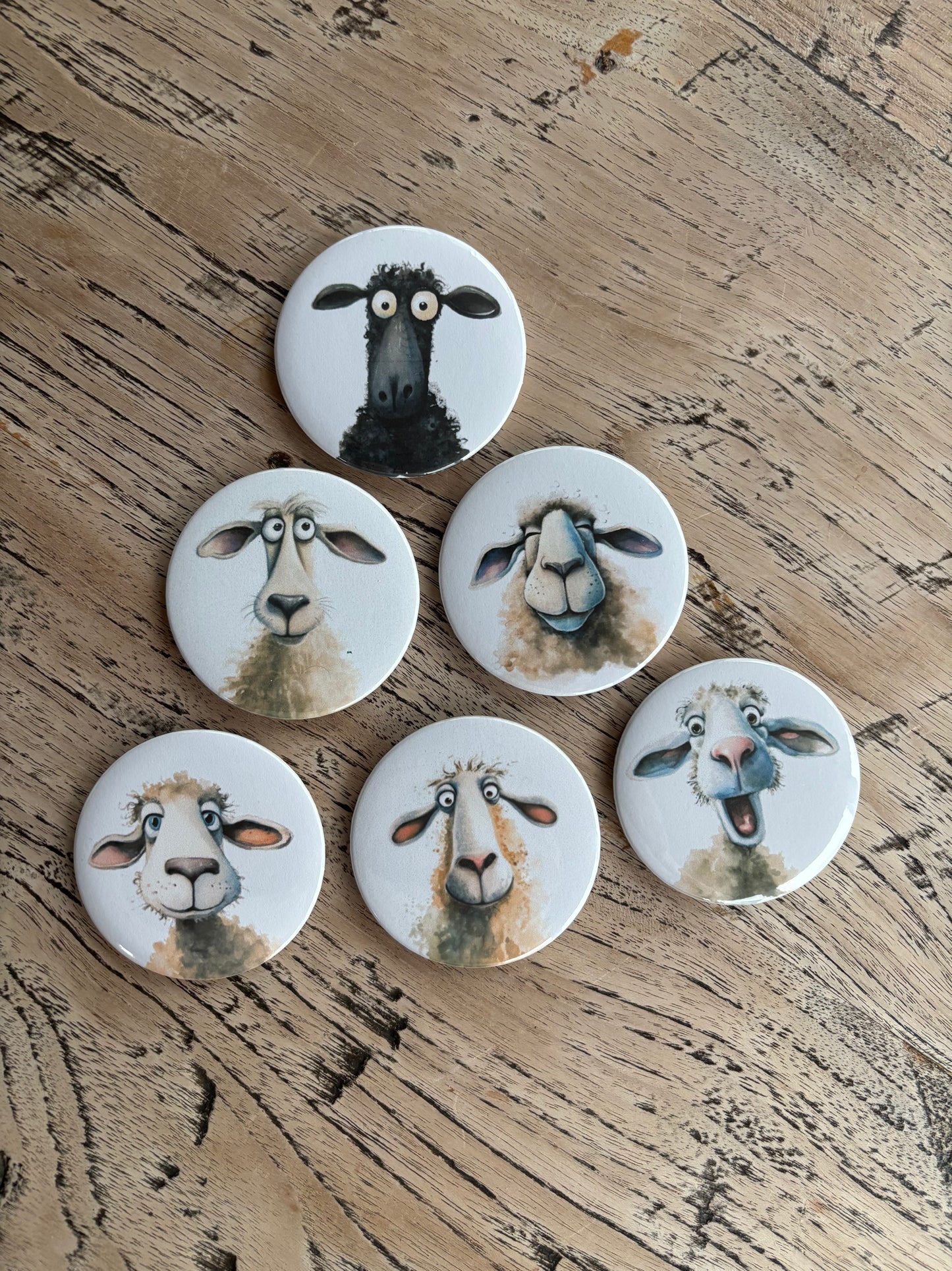 6er Schafmagneten-Bundle