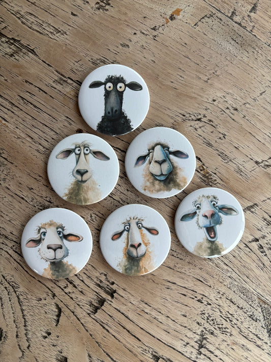 6er Schafmagneten-Bundle